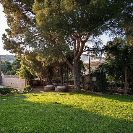 Sounio Panoramic Loft Lägenhet Sunion Exteriör bild